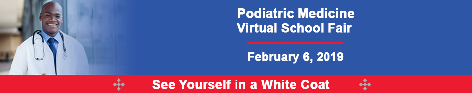 Virtual Fair Graphic
