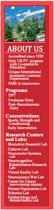 Northeastern DPT graphic
